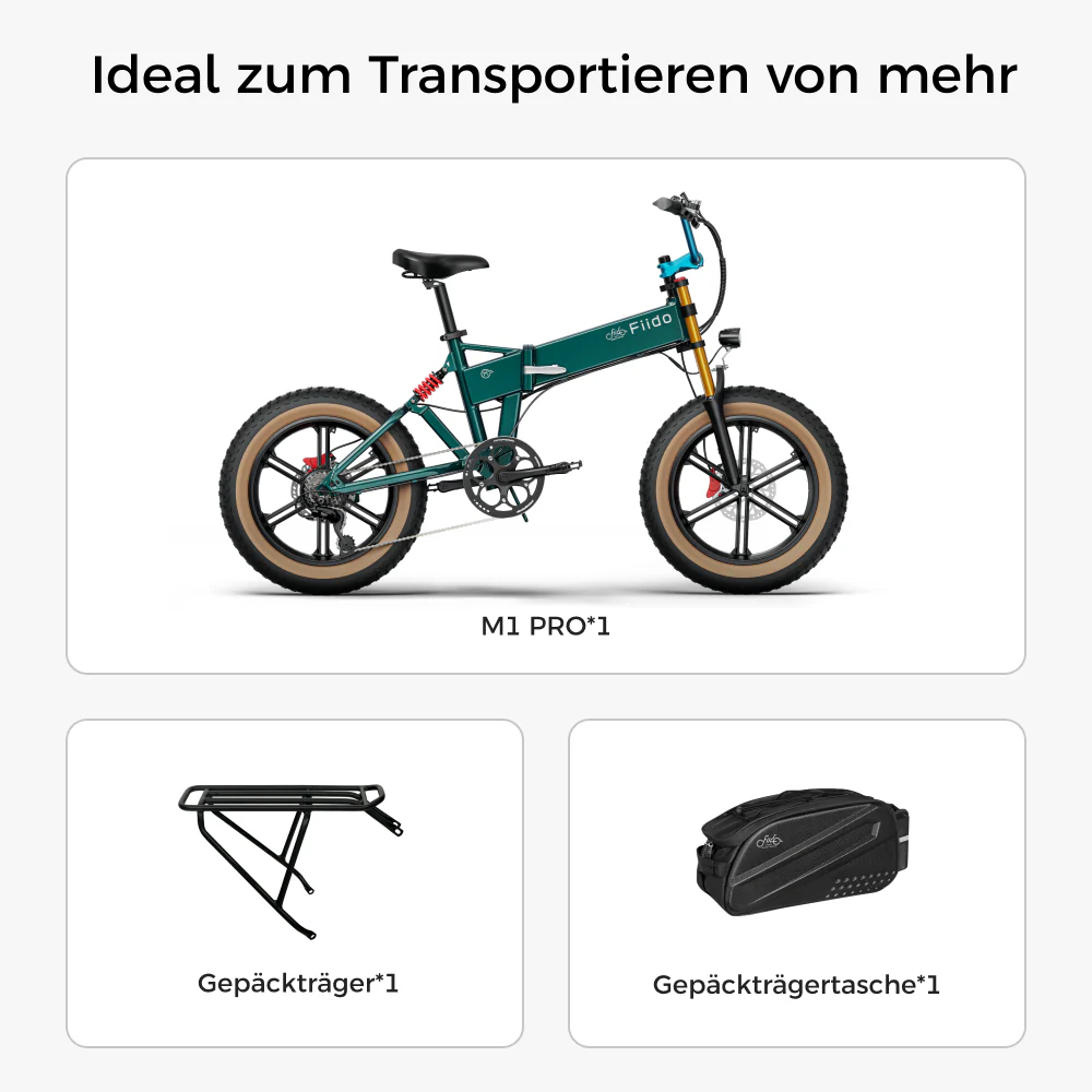 Fiido M1 Pro Fatbike E-Bike - Image 12