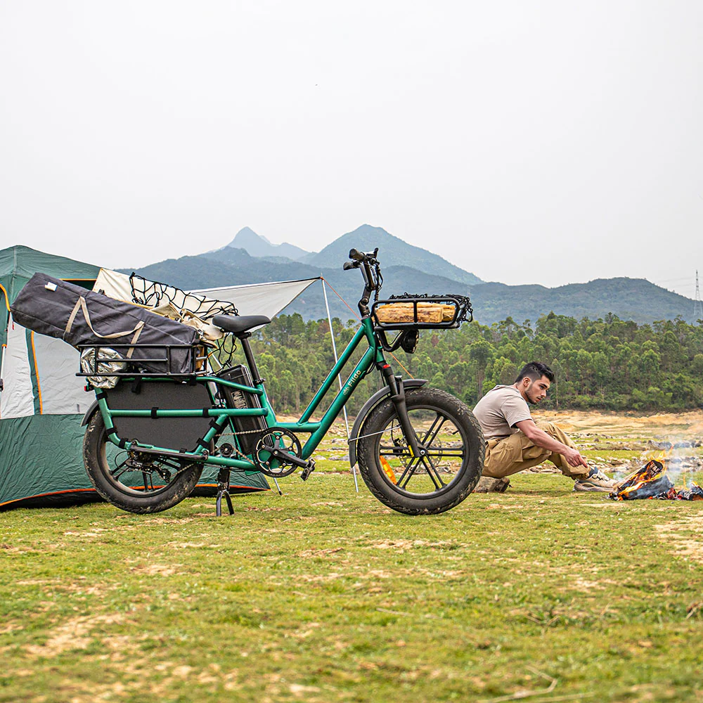 Fiido T2 Longtail Lasten-E-Bike - Image 5