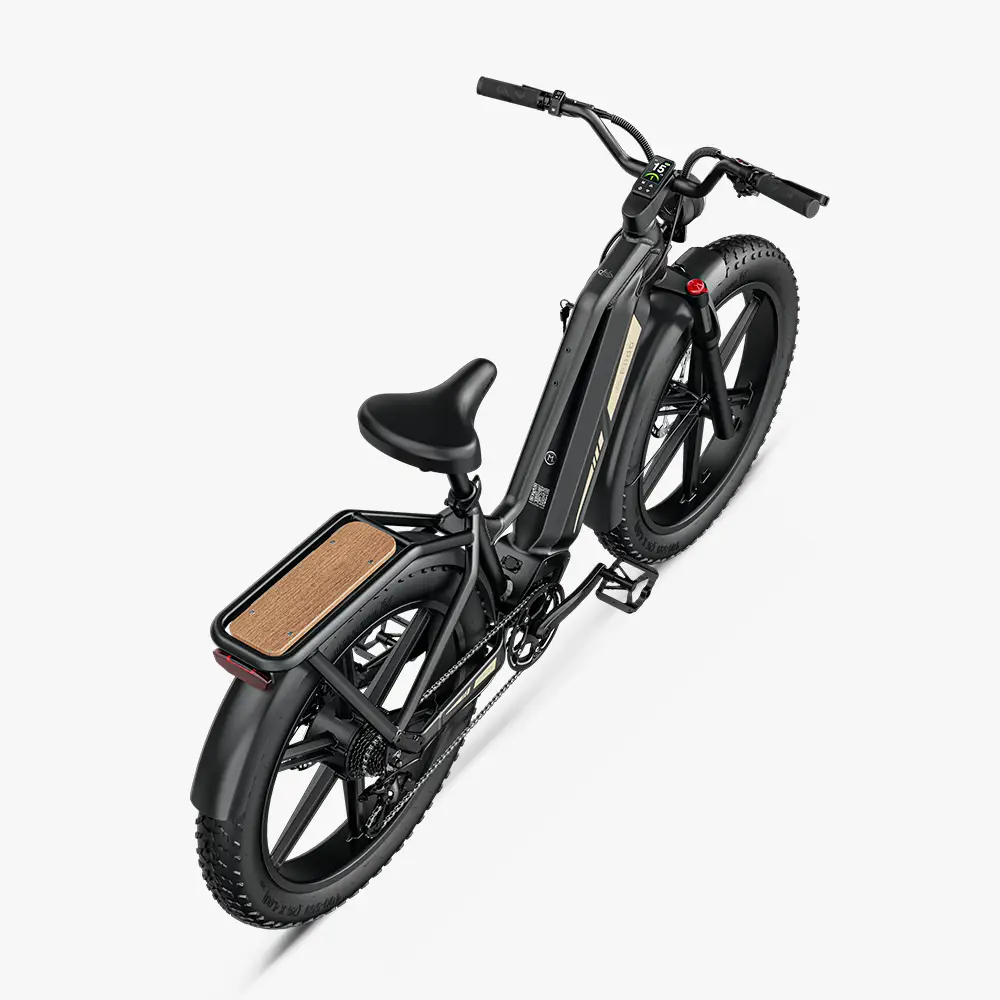 Titan Fat Tire Jagd- und Touren-E-Bike - Große Reichweite - Image 8