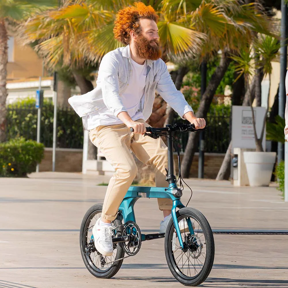 Fiido X Klapprad E-Bike mit Drehmomentsensor - Image 5